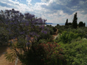 Villa Ioanna Drossia